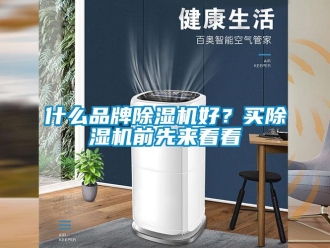 知识百科什么品牌除湿机好？买除湿机前先来看看