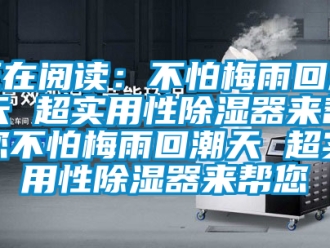 行业新闻正在阅读：不怕梅雨回潮天 超实用性除湿器来帮您不怕梅雨回潮天 超实用性除湿器来帮您