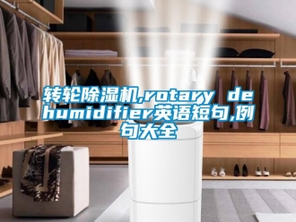 常见问题转轮除湿机,rotary dehumidifier英语短句,例句大全