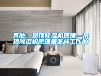 行业新闻其他：吊顶除湿机原理—吊顶除湿机原理是怎样工作的