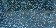 除湿机对安全玻璃生产装置的湿度控制_除湿机厂家