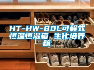 常见问题HT-HW-80L可程式恒温恒湿箱 生化培养箱