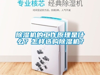 企业新闻除湿机的工作原理是什么？怎样选购除湿机？