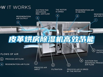 行业新闻皮革烘房除湿机高效节能