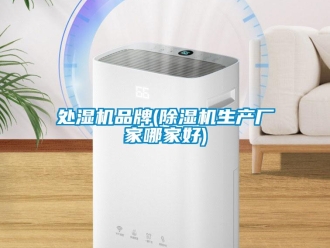 企业新闻处湿机品牌(除湿机生产厂家哪家好)