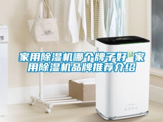 企业新闻家用除湿机哪个牌子好 家用除湿机品牌推荐介绍