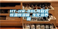 HT-HW-80L可程式恒温恒湿箱 生化培养箱