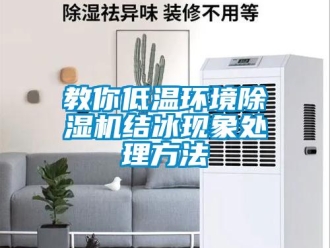 行业新闻教你低温环境除湿机结冰现象处理方法