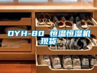 常见问题DYH-80 恒温恒湿机现货