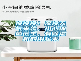 行业新闻冷冷冷！湿冷天气来袭，小心细菌滋生，有除湿机的用起来