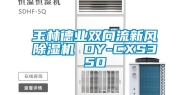 玉林德业双向流新风除湿机 DY-CXS350