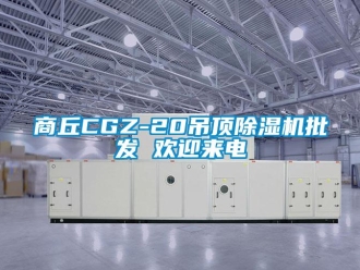 行业新闻商丘CGZ-20吊顶除湿机批发 欢迎来电