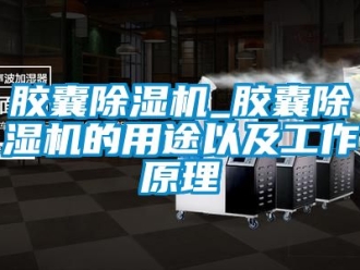 行业新闻胶囊除湿机_胶囊除湿机的用途以及工作原理