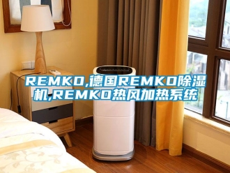 企业新闻REMKO,德国REMKO除湿机,REMKO热风加热系统