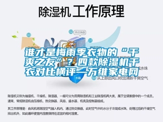 行业新闻谁才是梅雨季衣物的“干爽之友”？四款除湿机干衣对比横评—万维家电网