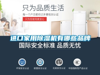 企业新闻进口家用除湿机有哪些品牌