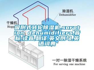 常见问题吸附式转轮除湿机,sorption dehumidifiers,音标,读音,翻译,英文例句,英语词典