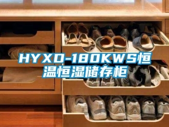 常见问题HYXD-180KWS恒温恒湿储存柜