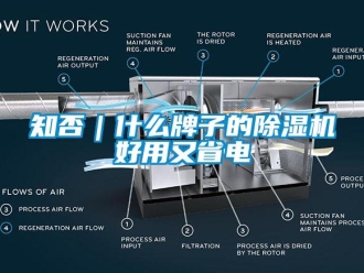 知识百科知否｜什么牌子的除湿机好用又省电