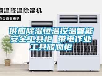 知识百科供应除湿恒温控温智能安全工具柜 带电作业工具储物柜