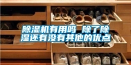 除湿机有用吗 除了除湿还有没有其他的优点