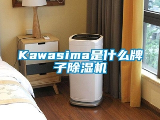 企业新闻Kawasima是什么牌子除湿机