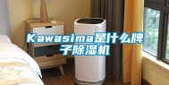 Kawasima是什么牌子除湿机