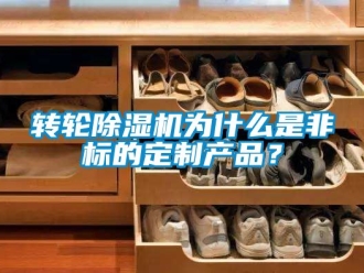 常见问题转轮除湿机为什么是非标的定制产品？