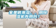 家里很潮湿。。用除湿机有用吗？