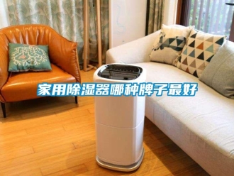 行业新闻家用除湿器哪种牌子最好