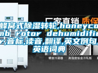 常见问题蜂窝式除湿转轮,honeycomb rotor dehumidifier,音标,读音,翻译,英文例句,英语词典