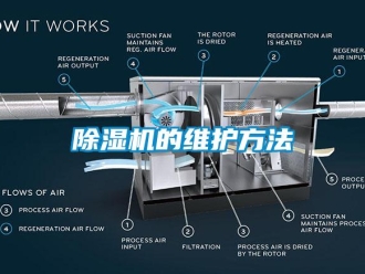 常见问题除湿机的维护方法