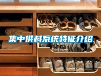 行业新闻集中供料系统特征介绍