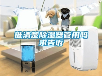 行业新闻谁清楚除湿器管用吗求告诉