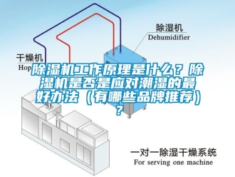 企业新闻除湿机工作原理是什么？除湿机是否是应对潮湿的最好办法（有哪些品牌推荐）？