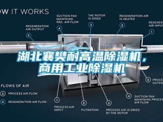 常见问题湖北襄樊耐高温除湿机，商用工业除湿机