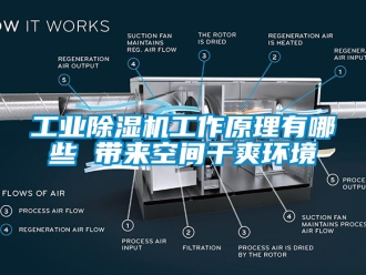 常见问题工业除湿机工作原理有哪些 带来空间干爽环境