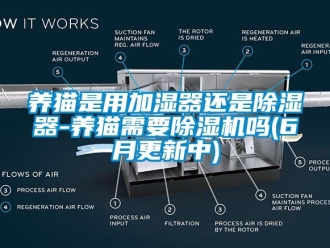 行业新闻养猫是用加湿器还是除湿器-养猫需要除湿机吗(6月更新中)