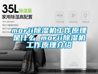 企业新闻morii除湿机工作原理是什么 morii除湿机工作原理介绍