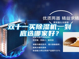 知识百科双十一买除湿机，到底选哪家好？