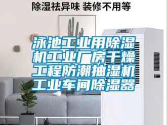 常见问题泳池工业用除湿机工业厂房干燥工程防潮抽湿机工业车间除湿器