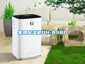 常见问题家用除湿机DH-858D