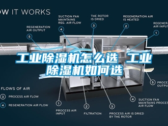 常见问题工业除湿机怎么选 工业除湿机如何选