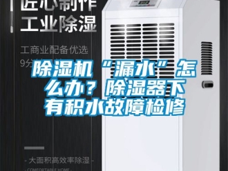 企业新闻除湿机“漏水”怎么办？除湿器下有积水故障检修