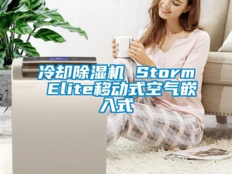 行业新闻冷却除湿机 Storm Elite移动式空气嵌入式