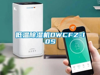 行业新闻低温除湿机DWCFZ-10S