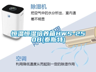 知识百科恒温恒湿培养箱HWS-250B(泰斯特)