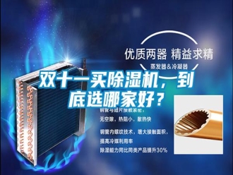 知识百科双十一买除湿机，到底选哪家好？