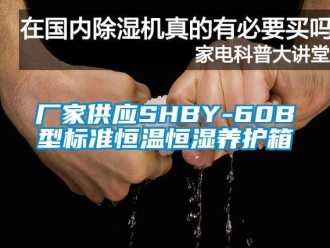 知识百科厂家供应SHBY-60B型标准恒温恒湿养护箱