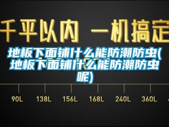 企业新闻地板下面铺什么能防潮防虫(地板下面铺什么能防潮防虫呢)